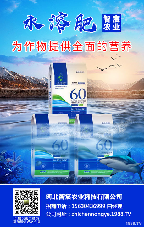 2020尿素價格要上漲！最新尿素行情走勢分析！