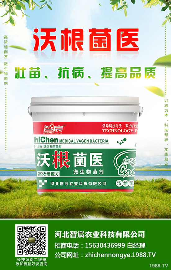 鉀肥價格整體偏低運行！最新鉀肥行情分析2020-5-15！