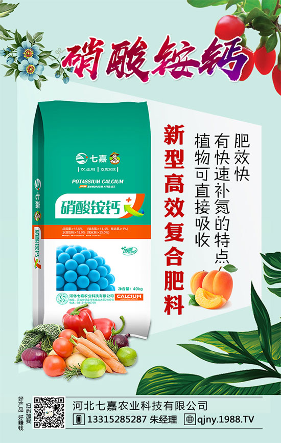 蘆筍對(duì)種植環(huán)境有要求嗎？蘆筍采收時(shí)間及方法！