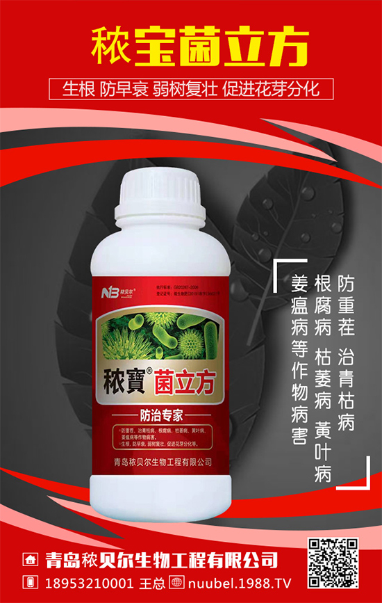 葫蘆怎么播種方法？葫蘆的播種方法及生長過程！