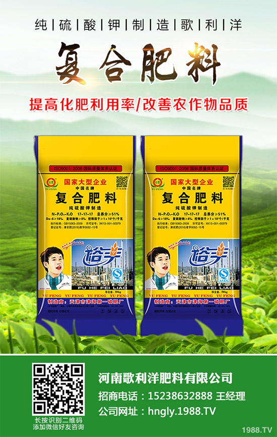 ���·��σr(ji��)���߄ݷ���