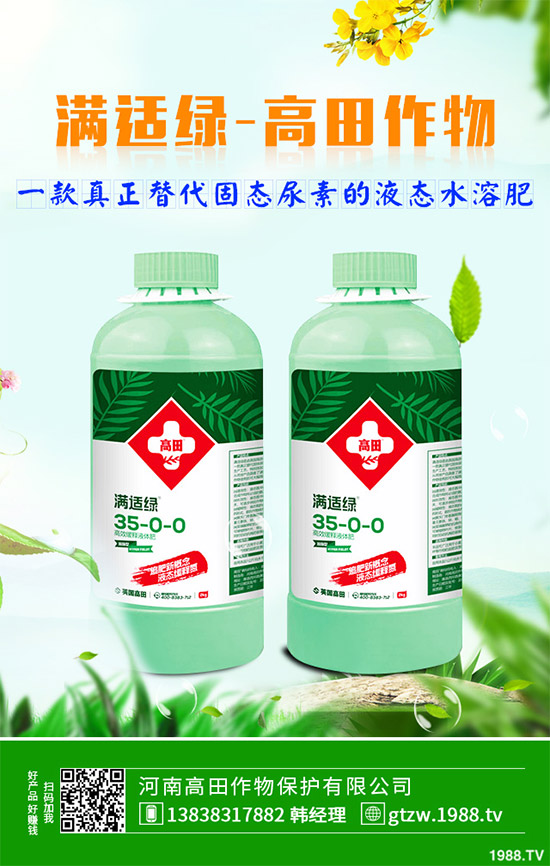 草珊瑚有哪些神奇功效？中藥材草珊瑚的作用及功效！