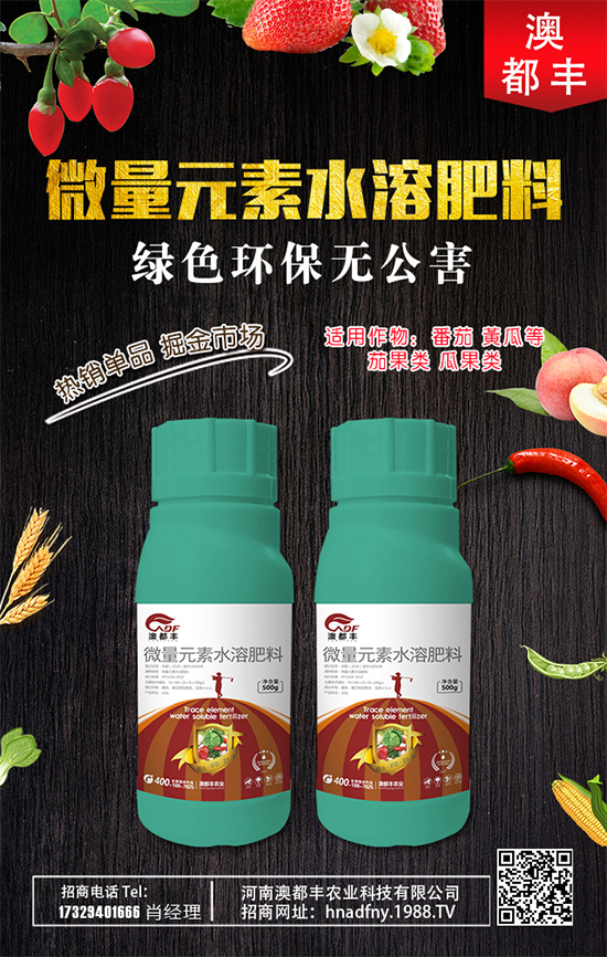 甜瓜什么時間種植好？甜瓜種植技術(shù)要點！