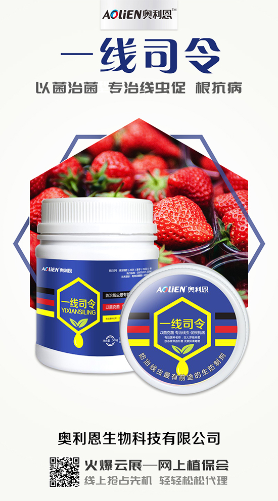 香瓜育苗期的水肥管理，香瓜施肥的注意事項！