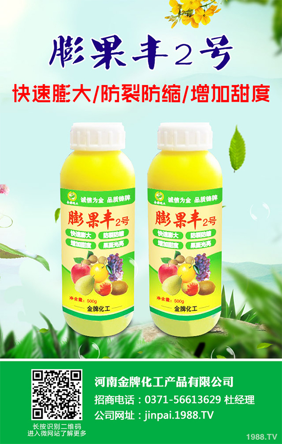     黑櫻桃該如何栽培？怎樣管理？黑櫻桃高產(chǎn)栽培管理技術(shù)