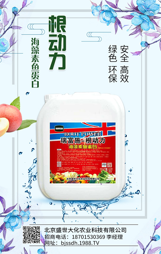 荔枝生長環(huán)境要求，荔枝苗嫁接方法及施肥原則！