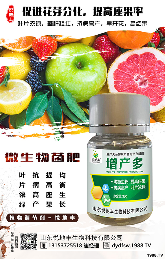 冰菜該如何栽培？怎樣種植能高產(chǎn)？冰菜的高產(chǎn)栽培技術(shù)