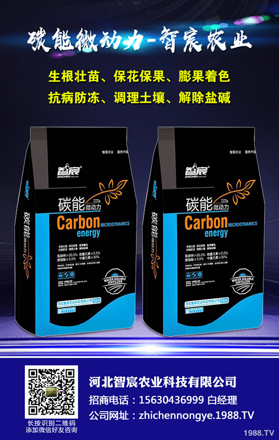 西瓜的需肥特性，西瓜施肥四禁忌！