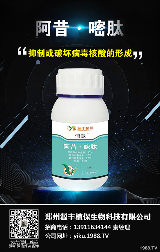 ��������X�r(n��ng)ˎ�r��