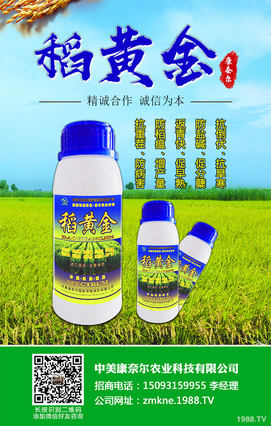 ���س��S��(b��o)�r(ji��)