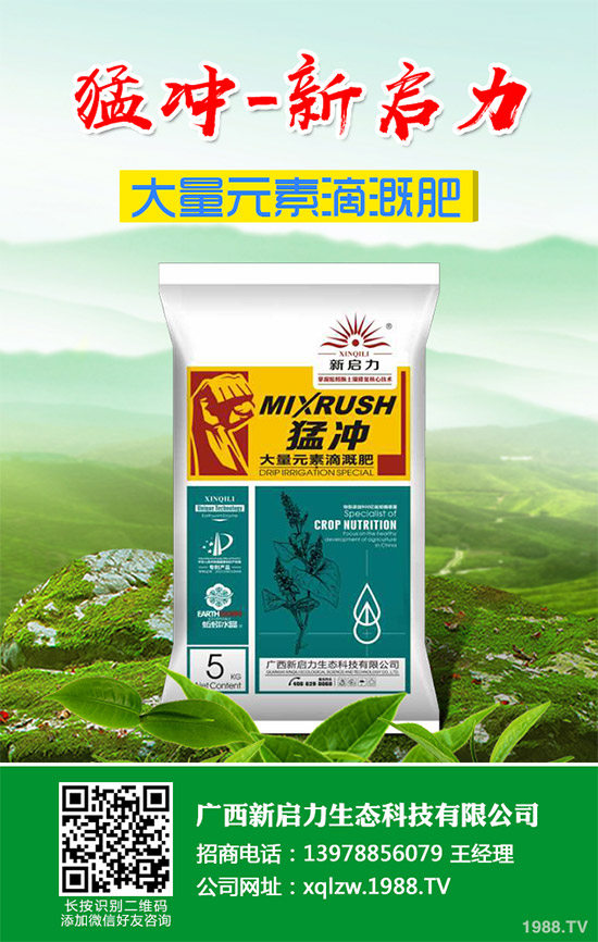復(fù)合肥價(jià)格行情日?qǐng)?bào)