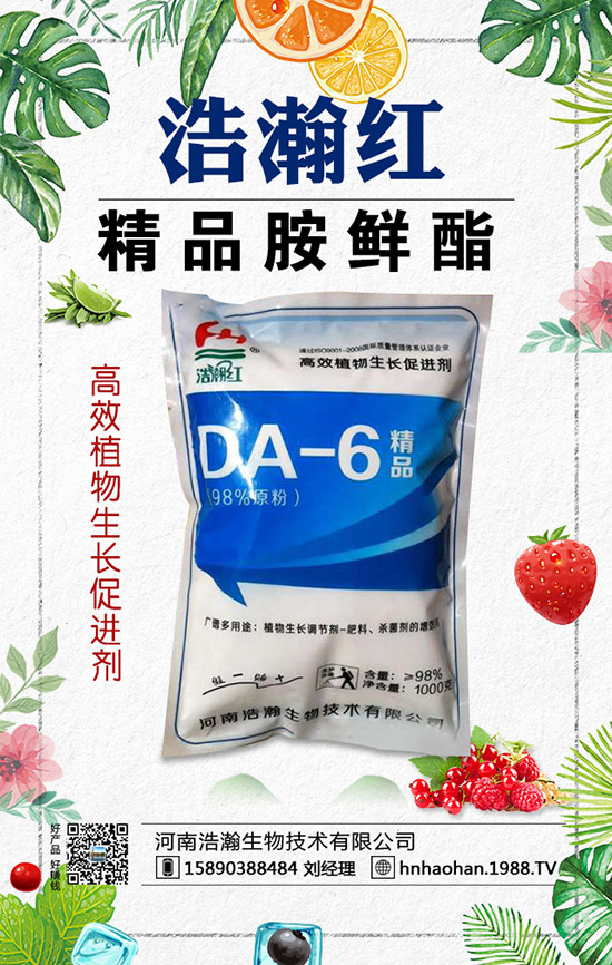 西紅柿摘葉常見誤區(qū)有哪些？西紅柿摘葉技巧！