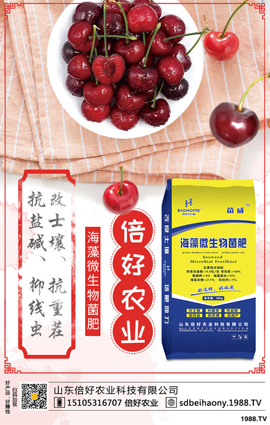     棉花的生長(zhǎng)周期多少天？棉花生長(zhǎng)各個(gè)時(shí)期的表現(xiàn)有哪些？