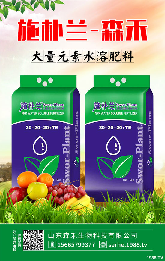 馬鈴薯價格不斷升高，能否繼續(xù)堅挺？2020年馬鈴薯種植前景分析