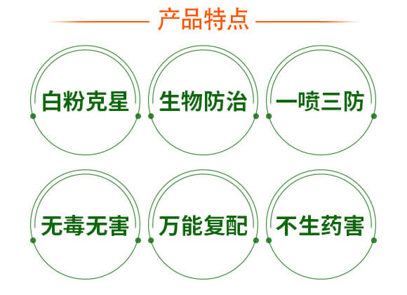 硫磺懸浮液體替代品-戰(zhàn)粉·硫-強(qiáng)農(nóng)生物_04