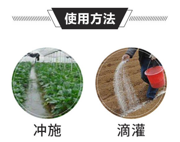 �Y(ji��)����ֲ���-����һ̖-��ɫ���B(t��i)_06