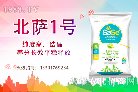 山茶花該怎么養(yǎng)，山茶花養(yǎng)殖方法和注意事項！