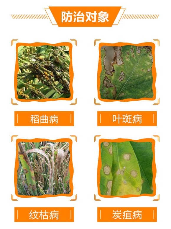 300克每升苯醚·丙環(huán)唑-生之藍-生農(nóng)世澤_05