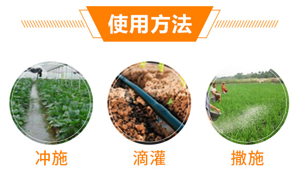 根結(jié)線蟲高效處理劑-益佐益佑_07