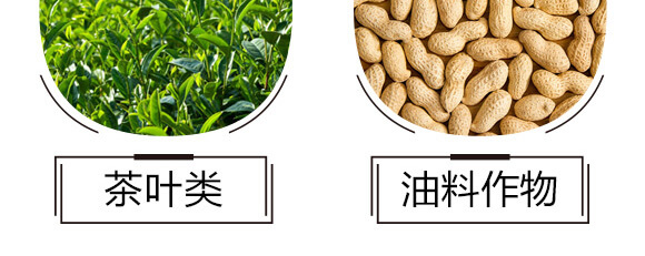 碳氫核肥-藍藻門-碳氫國際_07