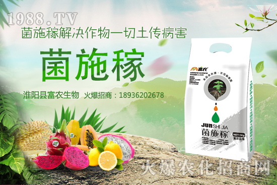 2020年農(nóng)村種野菜賺錢嗎？選擇哪些野菜品種效益高？建議收藏！