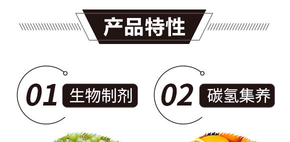 碳氫核肥-藍藻門-碳氫國際_08