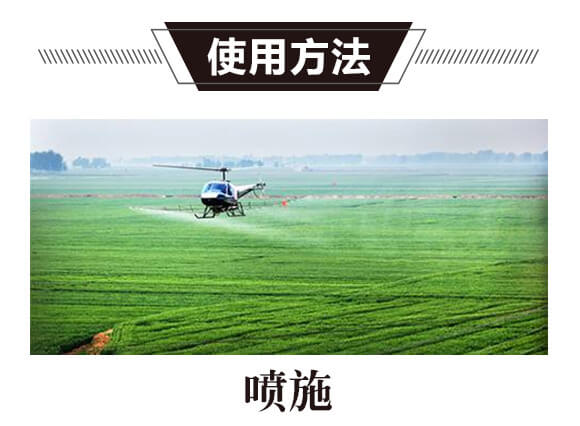 碳氫核肥-藍藻門-碳氫國際_11