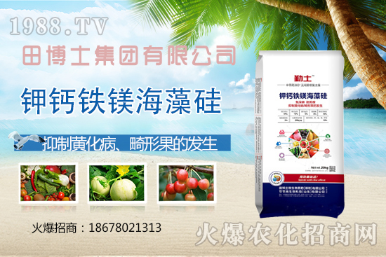 花生重茬會產(chǎn)生哪些影響？如何解決花生重茬問題？