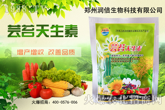 �S�B������ô�������S�B���ڲ��x(ch��ng)��������