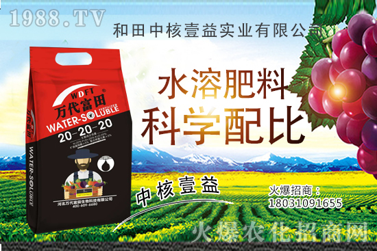 荔枝什么時(shí)間種植，荔枝種植技術(shù)要點(diǎn)，荔枝品種要怎么選？