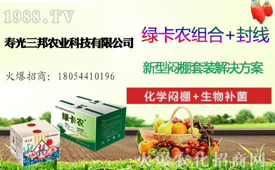 白菜多少錢一斤,一畝地產(chǎn)多少斤白菜,白菜種植前景及利潤分析!