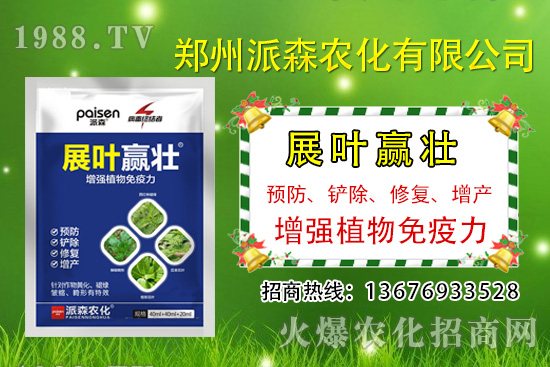 韭菜什么時候播種？韭菜市場前景如何？（種植成本及利潤分析）