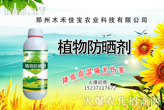 芽苗菜種植前景怎么樣，芽苗菜種植技術(shù)有哪些？