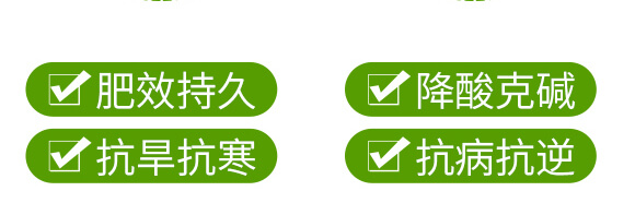 �r(n��ng)��ڈ@���＼�g(sh��)���޹�˾_09