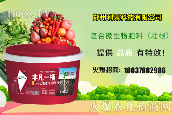 2020年種植辣椒賺錢嗎？種植前景如何？辣椒一畝地產(chǎn)量有多少？