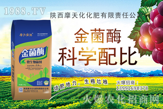 種一畝蘋果的成本是多少，有多少利潤？蘋果種植技術(shù)與管理！