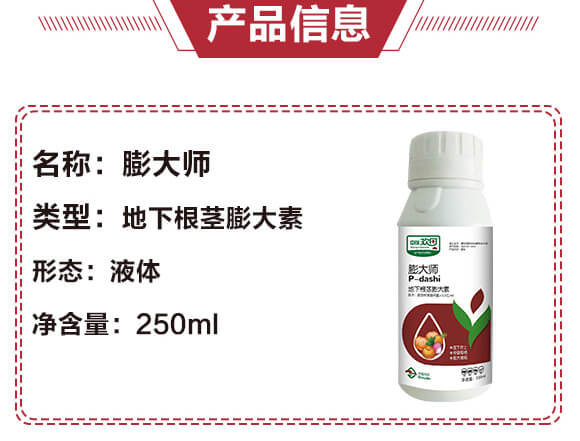 地下根莖膨大素-膨大師-中瑞歡田-中瑞利農(nóng)_04