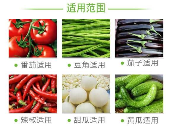 茄果通用濃縮型-新蚜虱凈-弗潤德_07