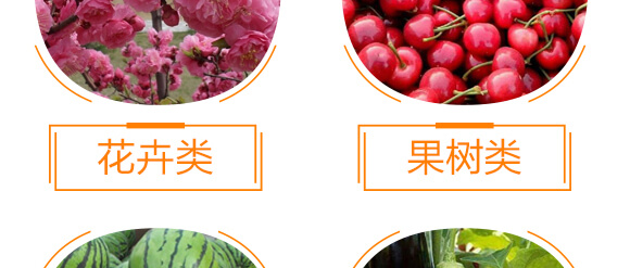 復合微生物沖施肥-納米神能鉀-金顆力-寧奧生物_11