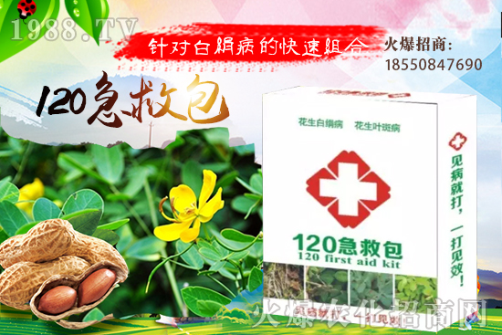 慈姑育苗方法有哪些？慈菇怎么移栽定植？