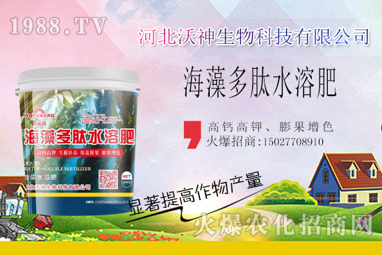  作物長勢好不好，根系管理很重要！“海藻多肽水溶肥”開啟作物生根時代！