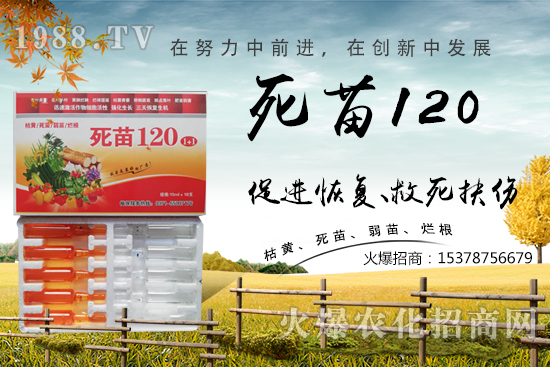  蔬菜種植不長根，緩苗慢，死苗爛根？學(xué)會(huì)這些方法，蔬菜死苗爛根都不怕！