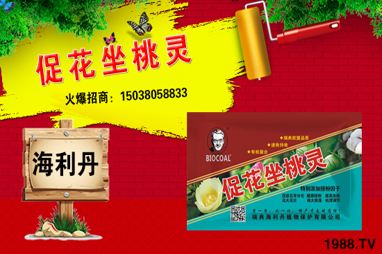 尿素價格