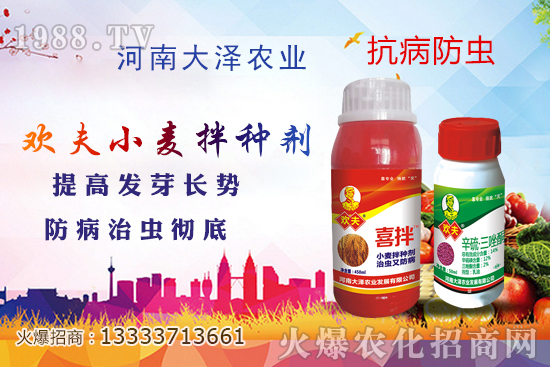 小麥拌種真有那么重要嗎，如何給小麥拌種更好？農(nóng)民要搞懂！