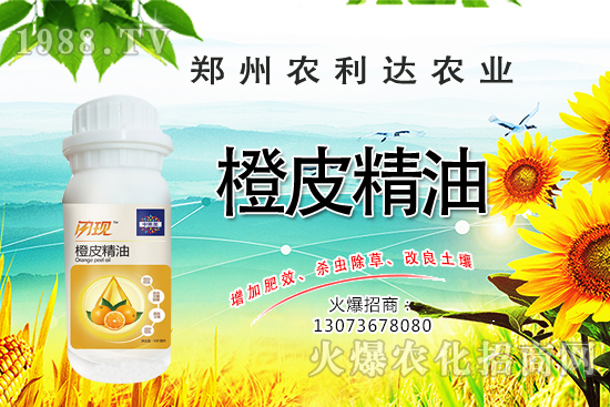 ��Ƥ�������˽��������Ƥ������ʲô��������ô�x��Ƥ������