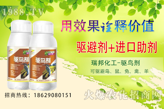 夏季果園鳥類猖獗，以下方法超乎你想象！果園驅鳥攻略！