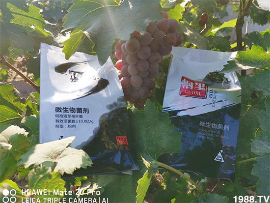 好產(chǎn)品好作用，“一璽生物”微生物菌劑“幗璽”客戶真實反饋！