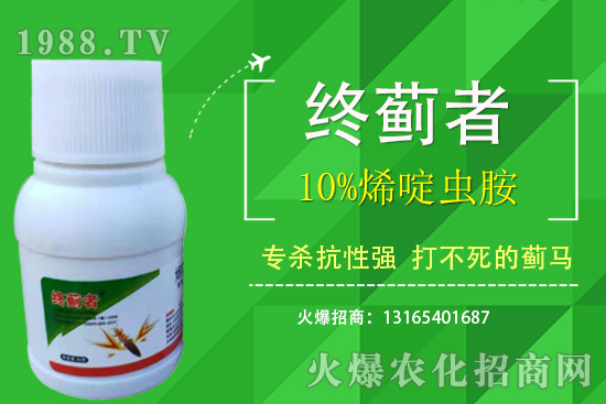 10%烯啶蟲胺能打薊馬嗎？有什么特點？10%烯啶蟲胺使用注意事項！