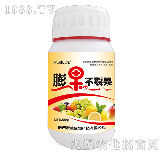  冬棗裂果發(fā)病原因與規(guī)律，冬棗裂果病的防治方案！