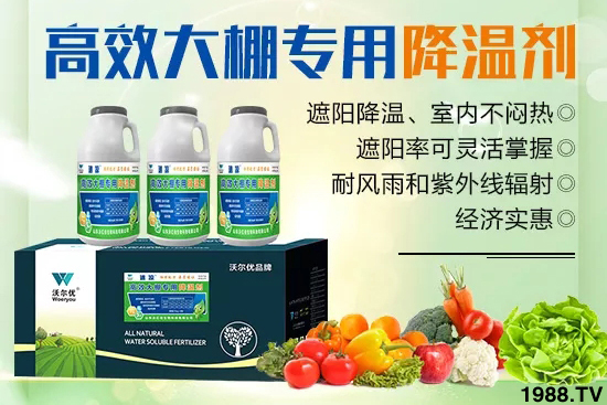 高溫對黃瓜有什么危害？大棚黃瓜降溫措施怎么做？